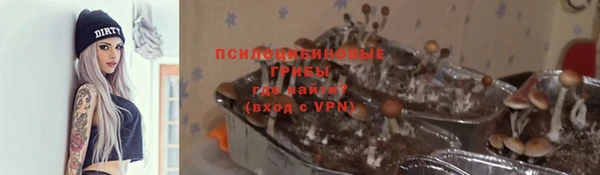 apvp Усинск
