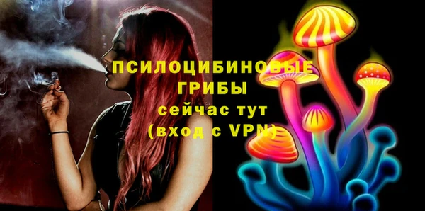 apvp Усинск