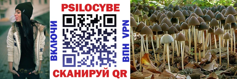 Псилоцибиновые грибы Magic Shrooms Эртиль
